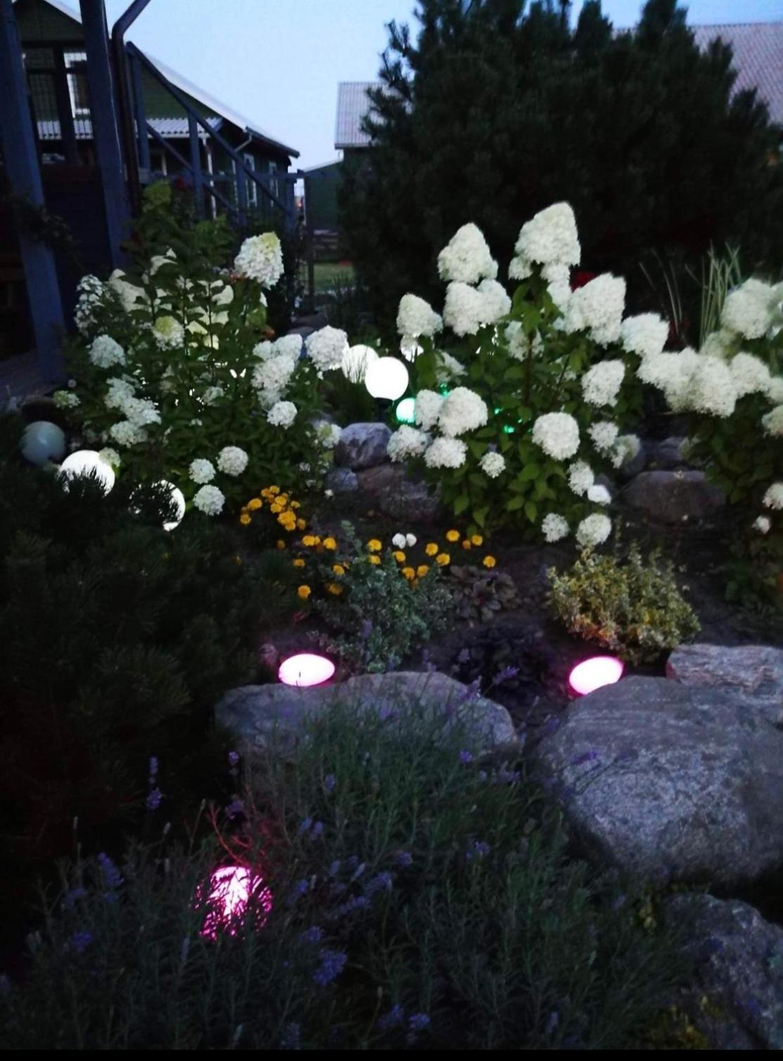 Dobilas Ir Jura 팔랑가 외부 사진